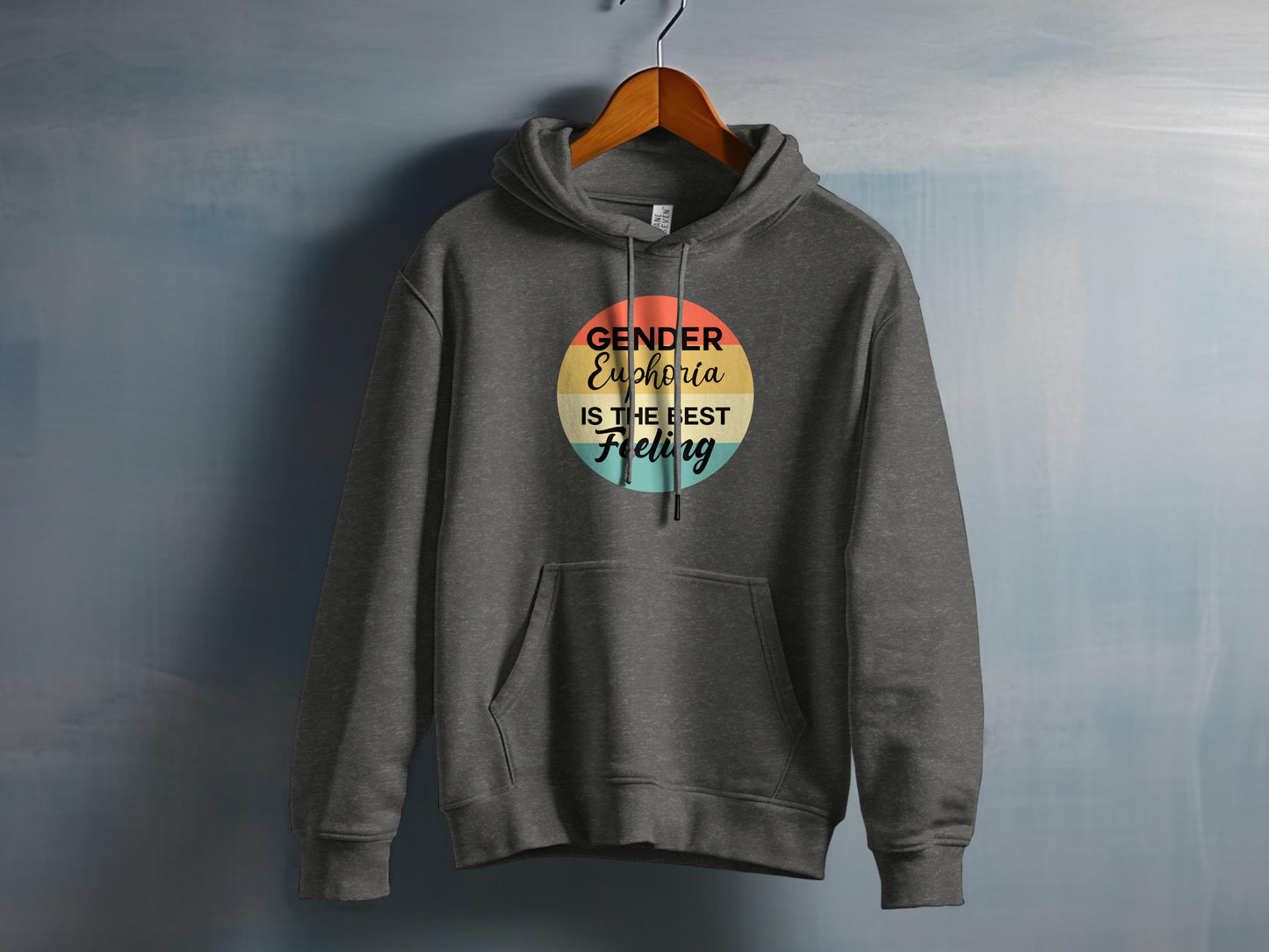 Gender Euphoria is the Best Feeling hoodie product