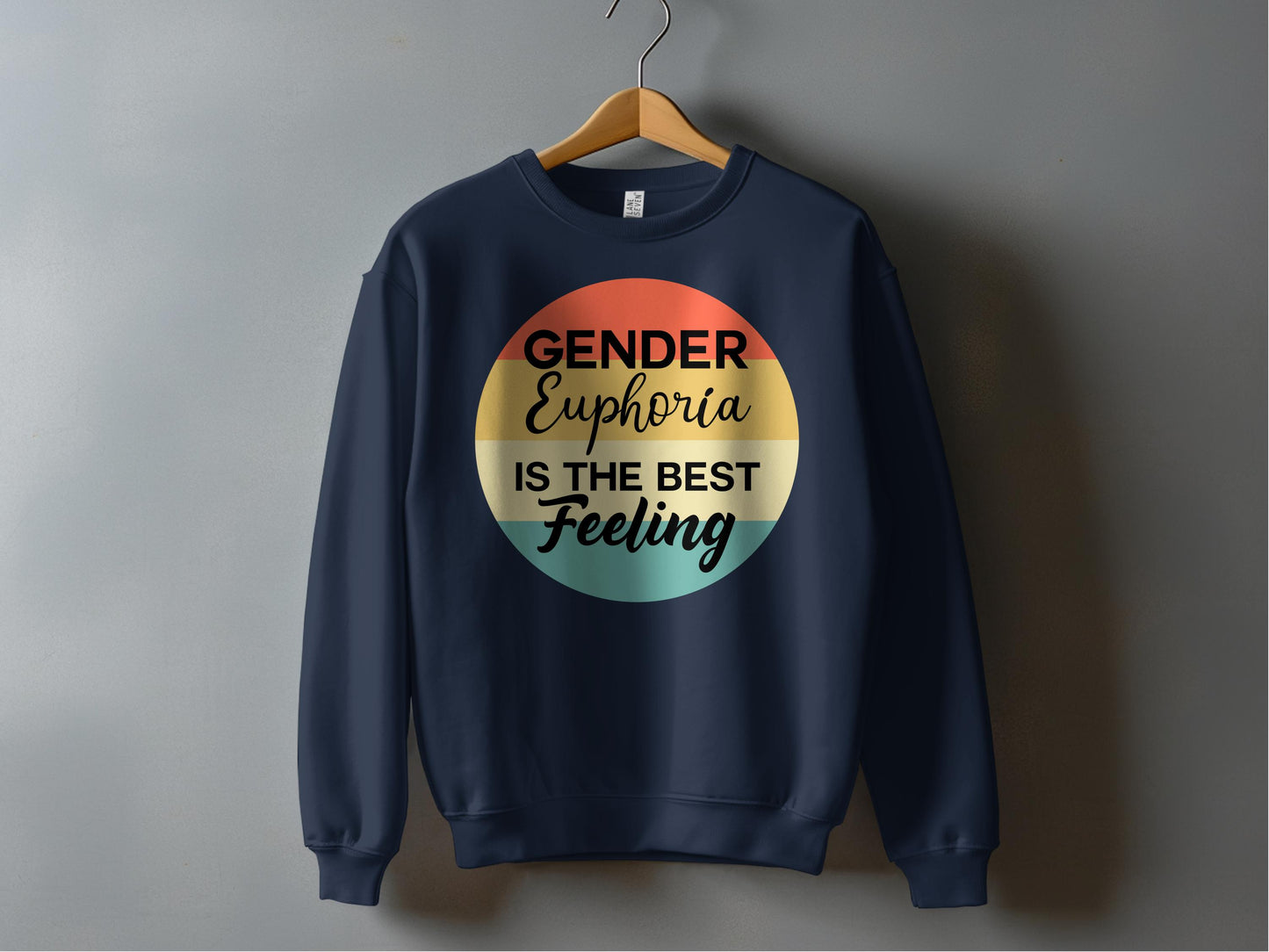 Gender Euphoria Is The Best Feeling Sweatshirt product type
