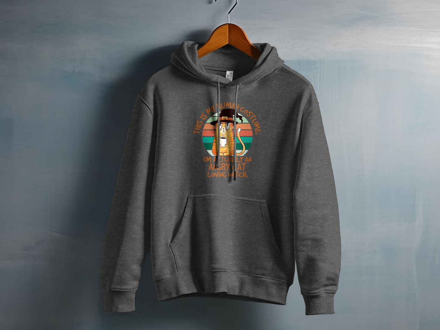 This Is My Human Costume Fun Hoodie Product