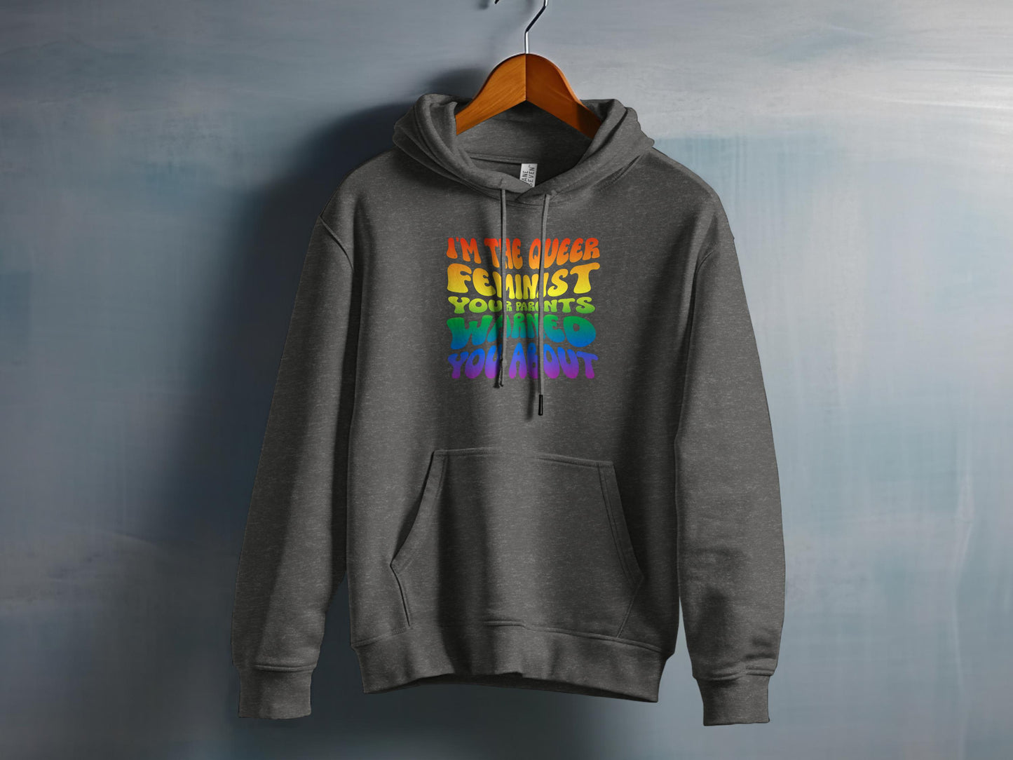 I'm The Queer Feminist You Were Warned About hoodie product