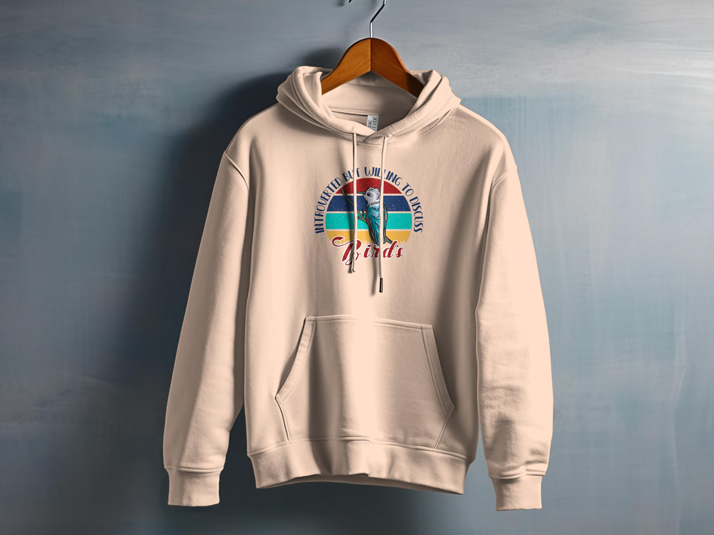 Retro Adventure Club Bing to Borrego Desert Hoodie product